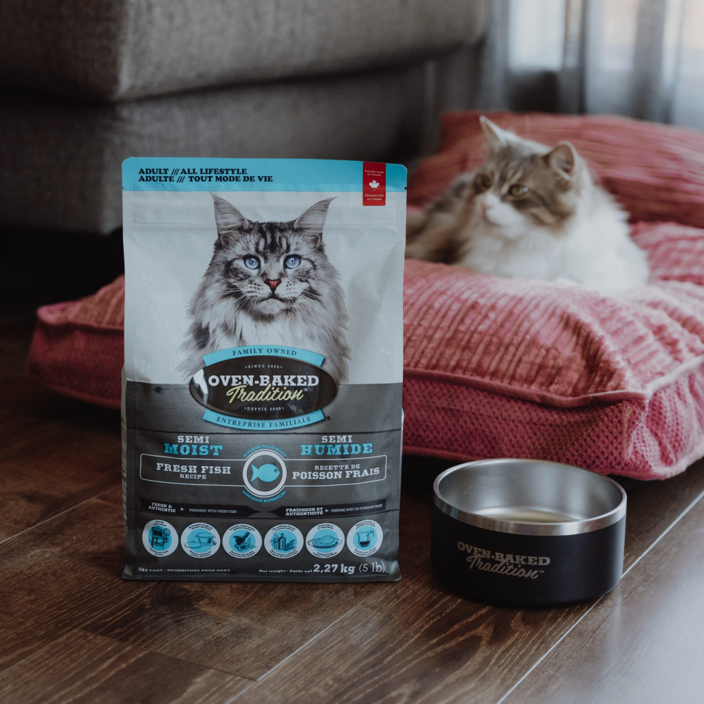 Adult cat next to a bag of semi-moist cat food, slowly oven-baked, with a soft texture suitable for cats with dental sensitivity.