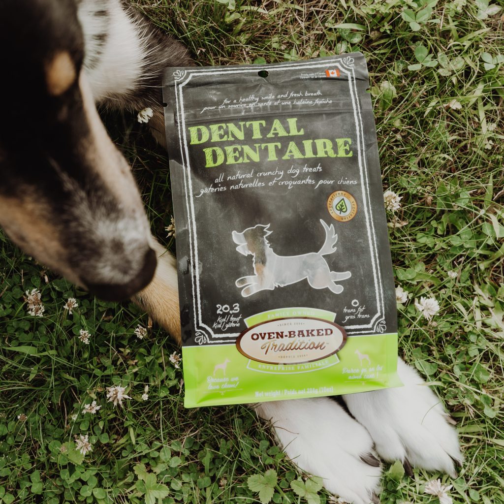 Dog lying on grass with dental treats for dogs – Oven-Baked Tradition