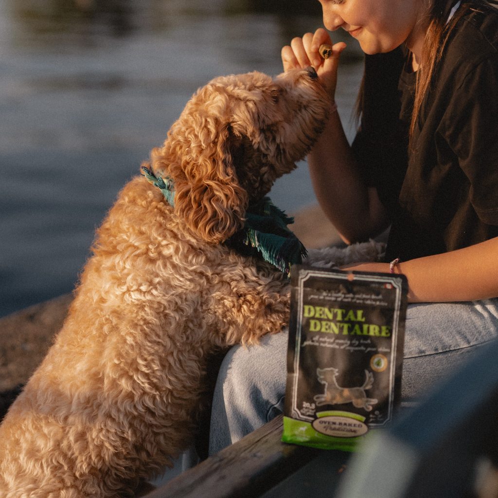 Happy dog receiving a dental treat near a lake in summer – Oven-Baked Tradition