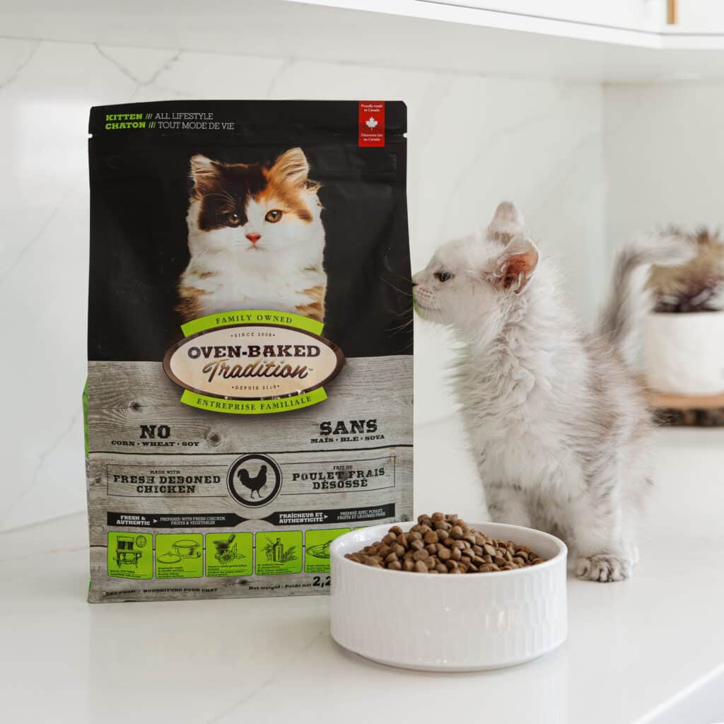 Chaton devant un bol et un sac de nourriture pour chaton cuite au four Oven-Baked Tradition, riche en protéines et fabriquée au Québec.