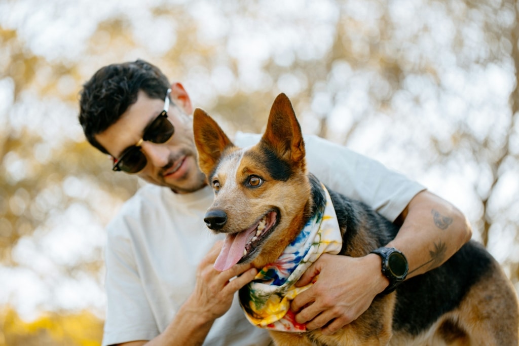 Chien et son maître partageant un moment dans un parc à chiens à Montréal