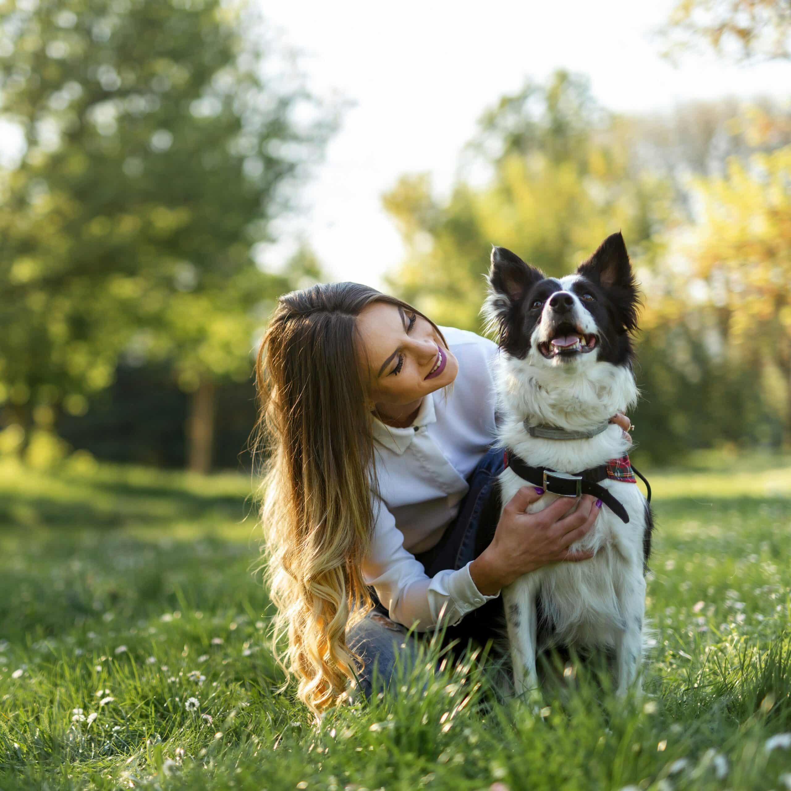 Chien et sa maîtresse dans un parc à chiens sans laisse à Ottawa